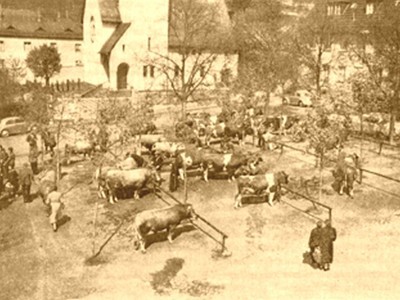 Adenauer Viehmarkt