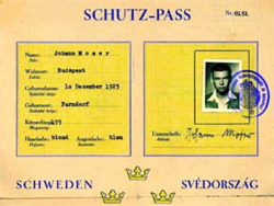 Schutzpass